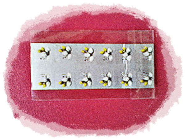 Adesivos de unhas